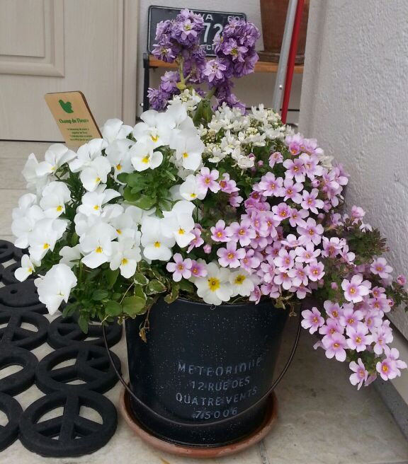 rblog-20140624000818-02.jpg