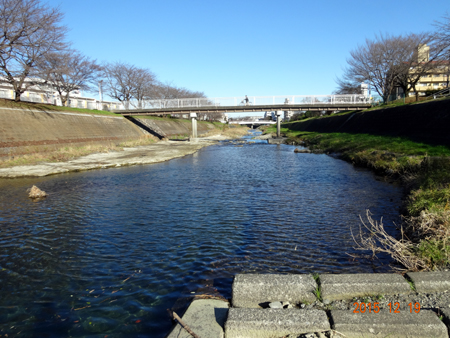 南浅川２.jpg