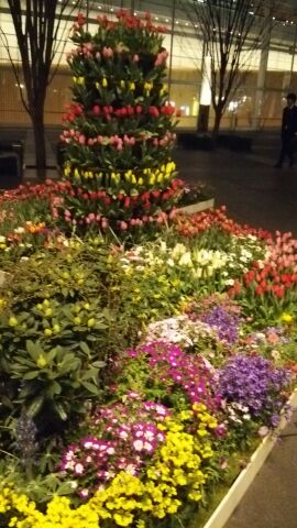 rblog-20150318015923-01.jpg