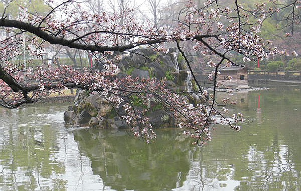 DSCN2056.jpg