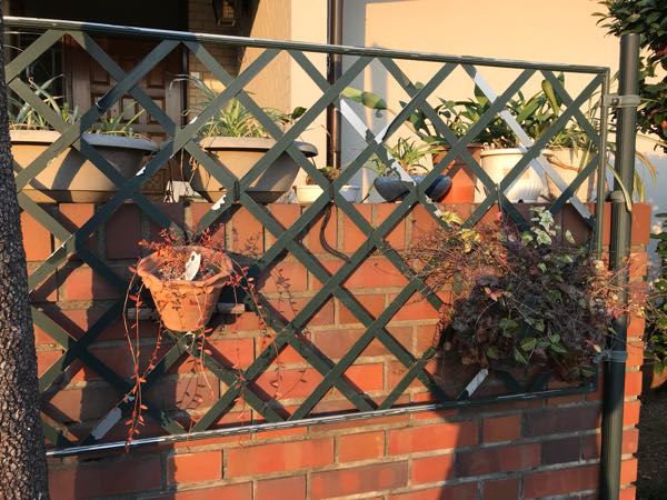 rblog-20180325184505-02.jpg