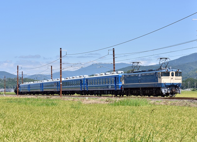 2 2号 D810 1.jpg