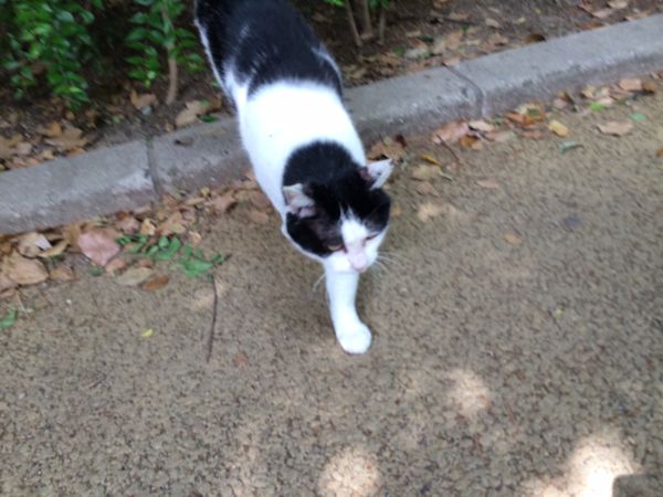 rblog-20140524112311-00.jpg