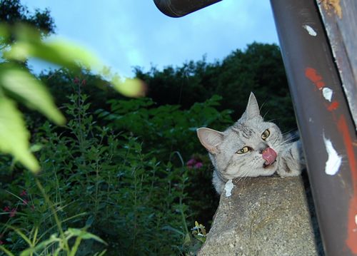 DSC_0621.JPG