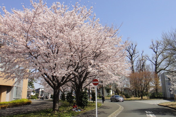 150331-105.jpg