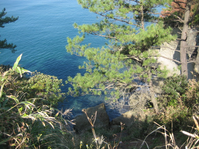 IMG_9727.JPG