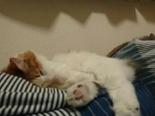 rblog-20170811094225-03.jpg