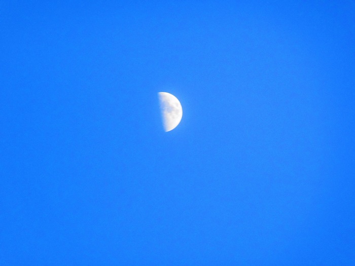 IMG_0466.JPG