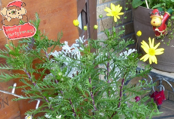 P1070242-001.JPG