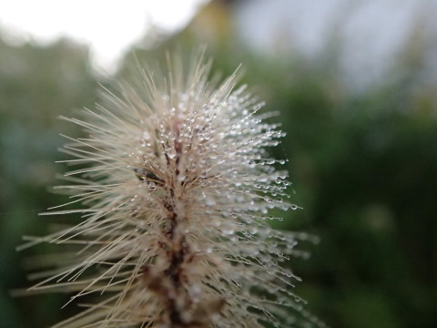 nitijou131028004