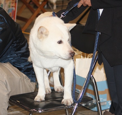 カイ君.jpg