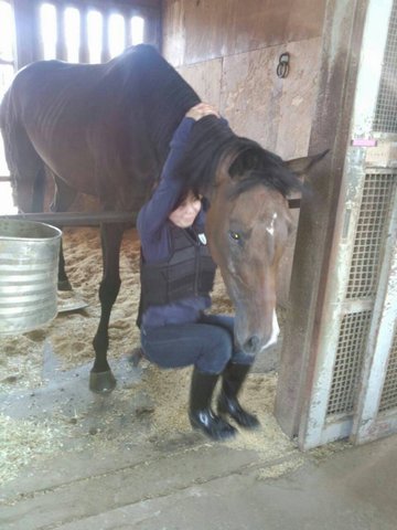 ハートオブミニーと