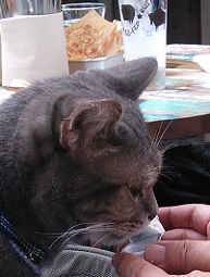 DSC_1374-24.jpg