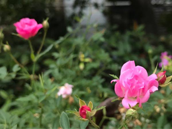 rblog-20181108170137-07.jpg