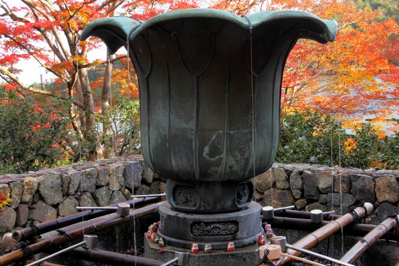 勝尾寺_4-3.jpg