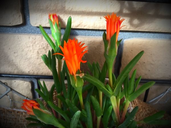 rblog-20160330183635-06.jpg