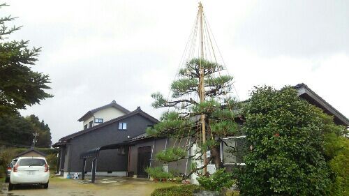 rblog-20181208123235-01.jpg