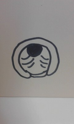 ウチのトイレ（小流しの中）