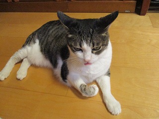IMG_4990ss.jpg