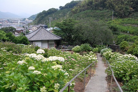 s-DSC_0571.jpg