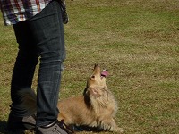 20121016150457[1].jpg