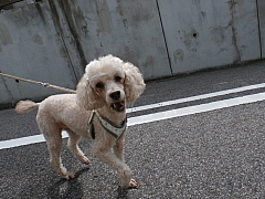 conv0723.JPG