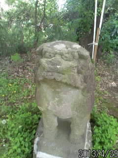 頼政神社の狛犬さま５