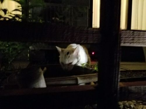 rblog-20180717092637-06.jpg