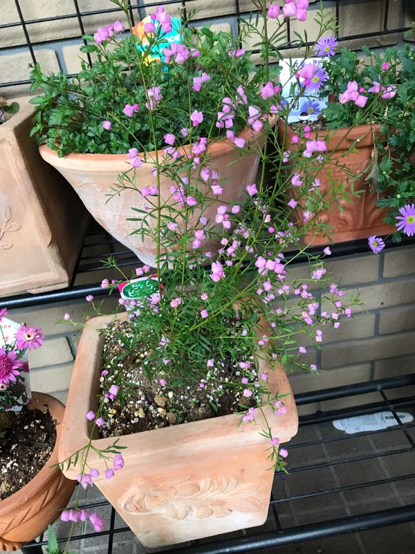 rblog-20190426181233-08.jpg