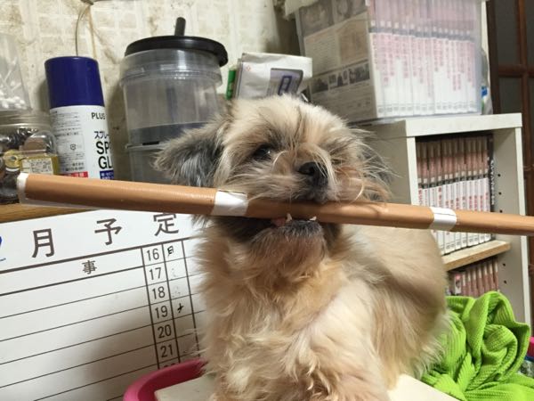 rblog-20141118104247-01.jpg