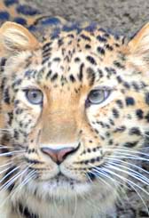 20111207_pon[1].jpg