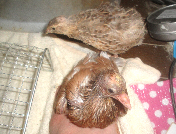 3013/08/07(1)