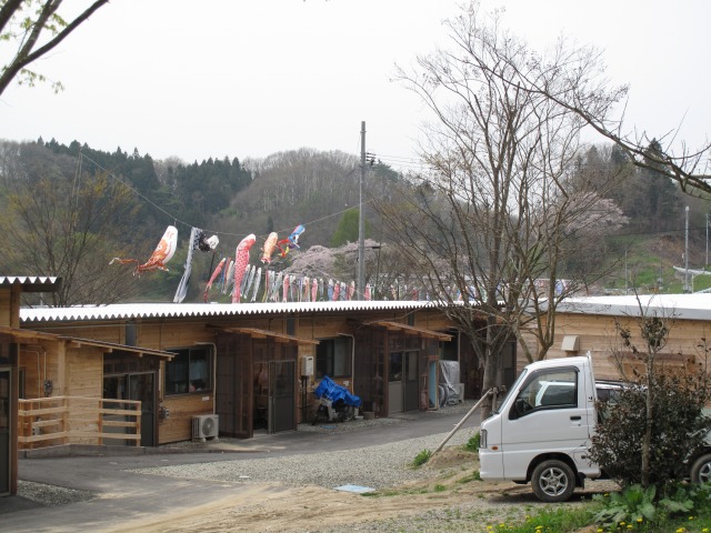 s-IMG_0340.jpg