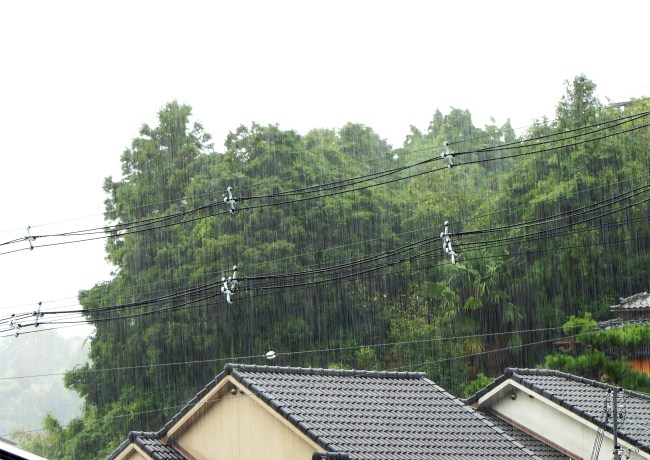 今日の雨