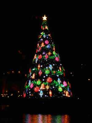 カラーオブクリスマス