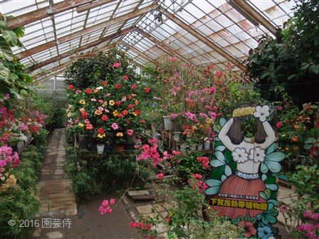 下賀茂熱帯植物園　20160403-3