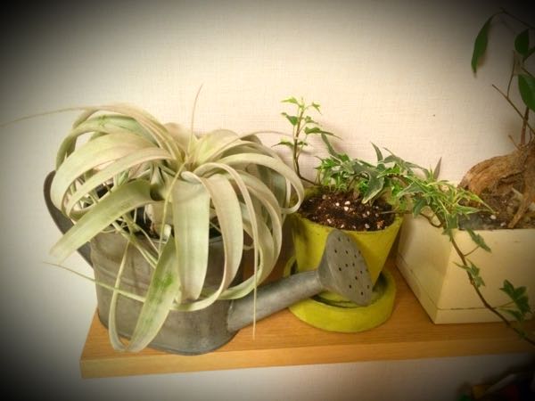 rblog-20150330222115-02.jpg