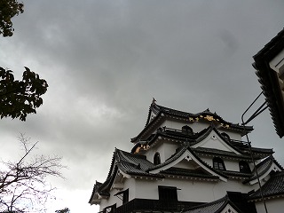 P1110565ss.jpg