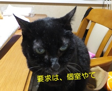 20121205_4.jpg