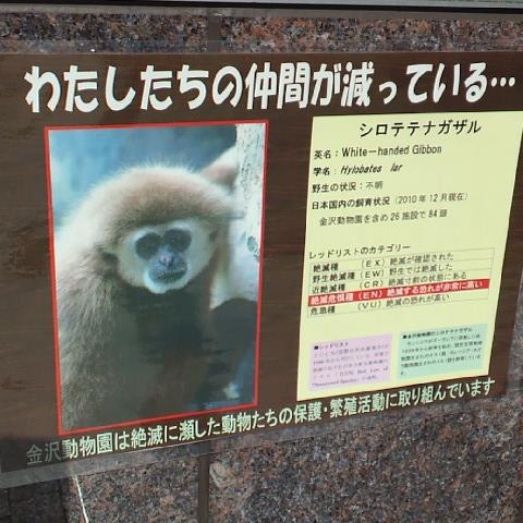 2012040114290000.JPG