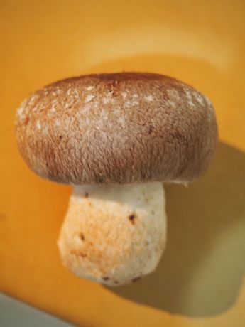 20140208-1
