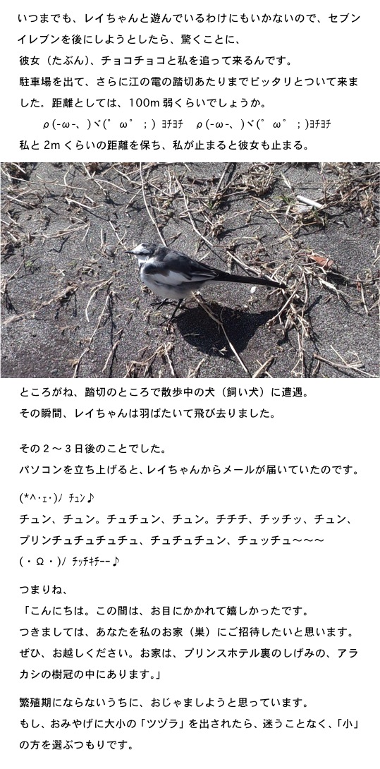 2014.04.05-3.jpg