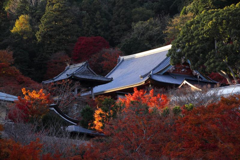 勝尾寺_6-2.jpg