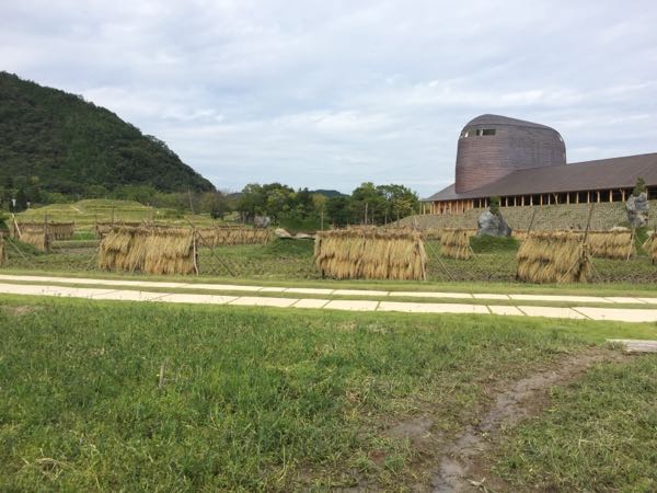 rblog-20160930235747-00.jpg