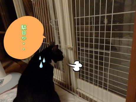 駄目か.JPG