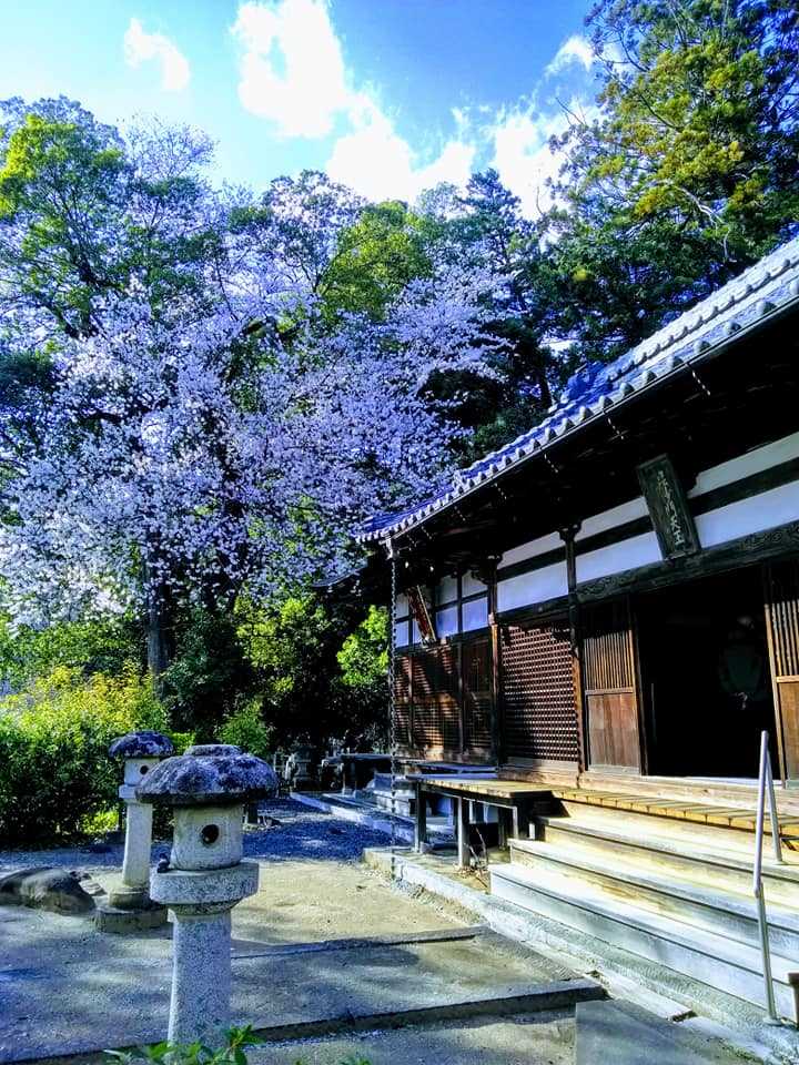 花の寺 高橋山法光寺 山梨県甲州市塩山 醍醐山と下部 しもべ 温泉 楽天ブログ