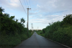 石垣14.jpg