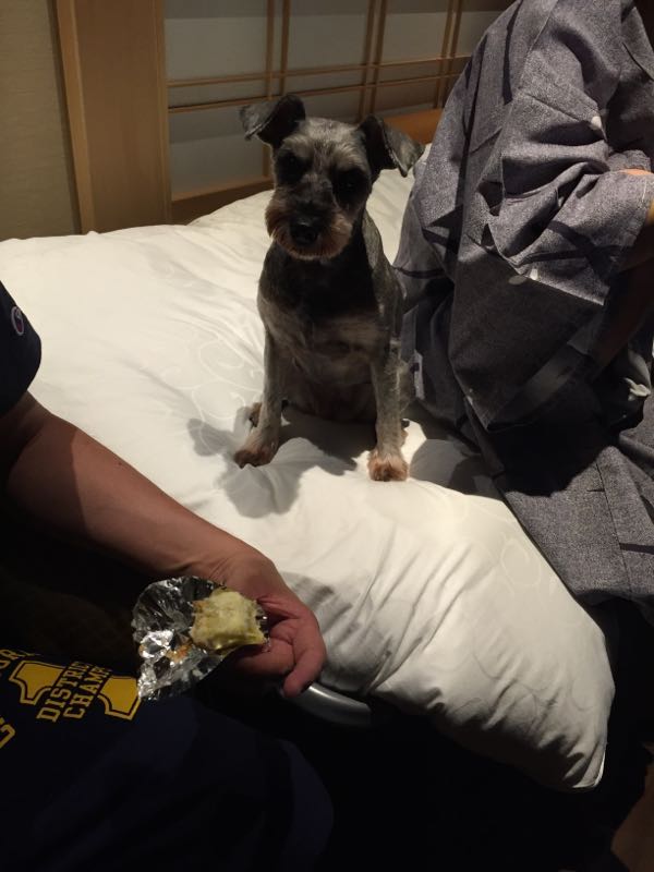 rblog-20150829225532-00.jpg