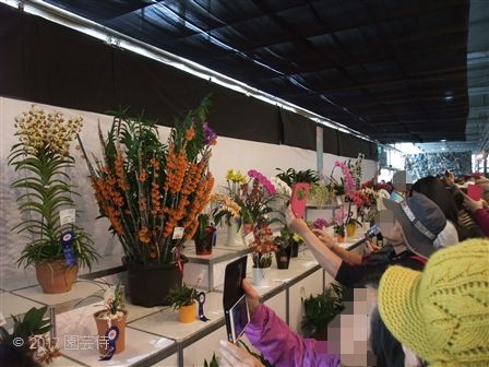 2017_03060143.jpg