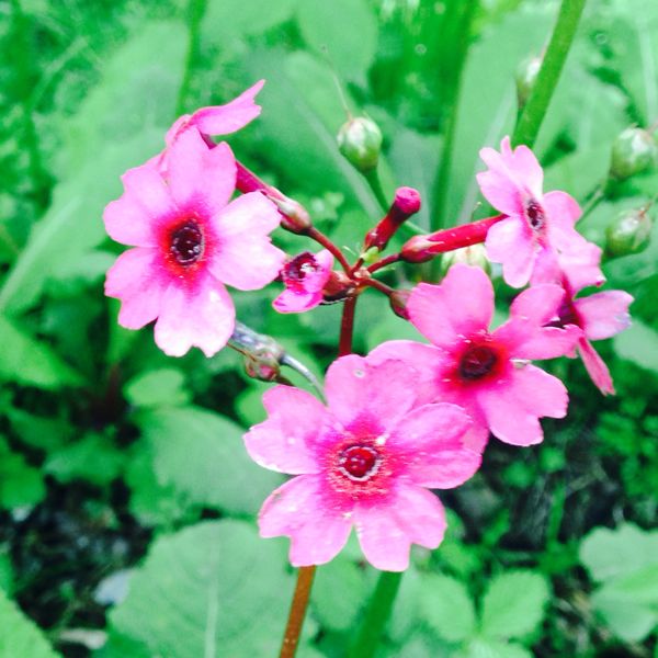 rblog-20140626121039-02.jpg